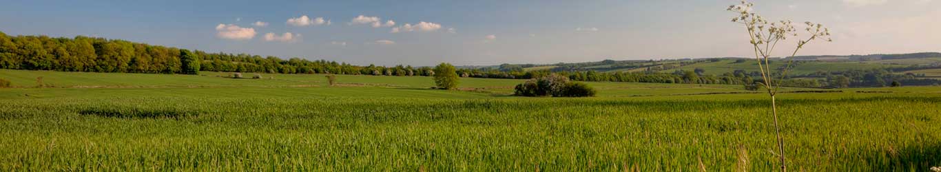 thin_banner_cotswolds_2