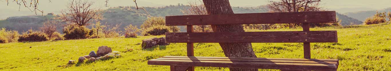 iStock_000009101592_Medium