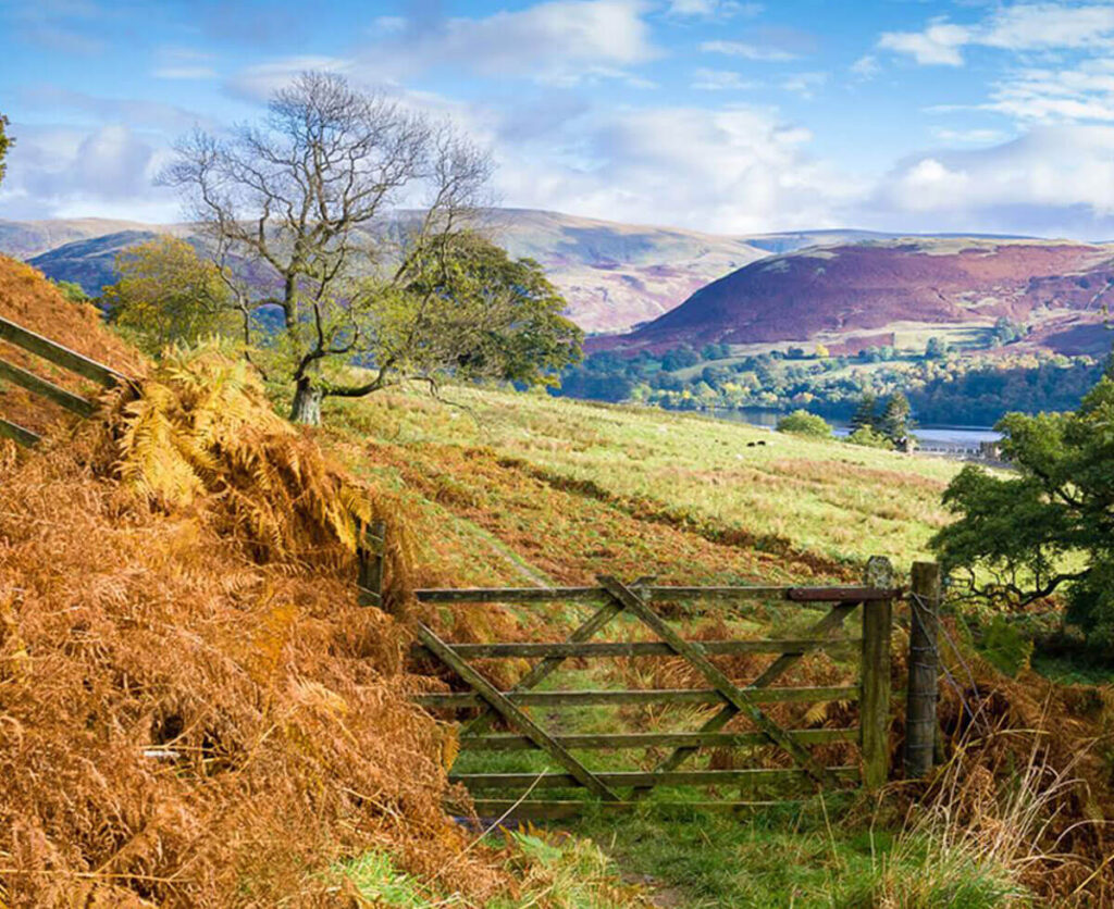 Advice For Your Cumbria Property Search