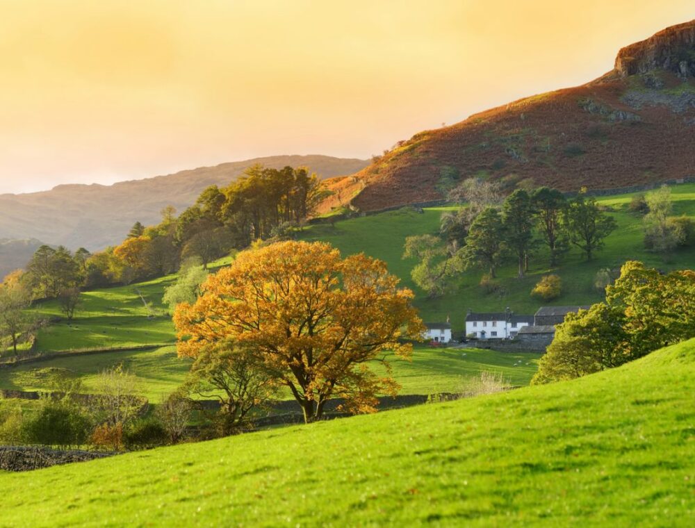 home finding service cumbria